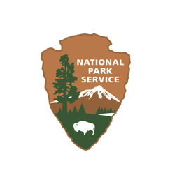 nps